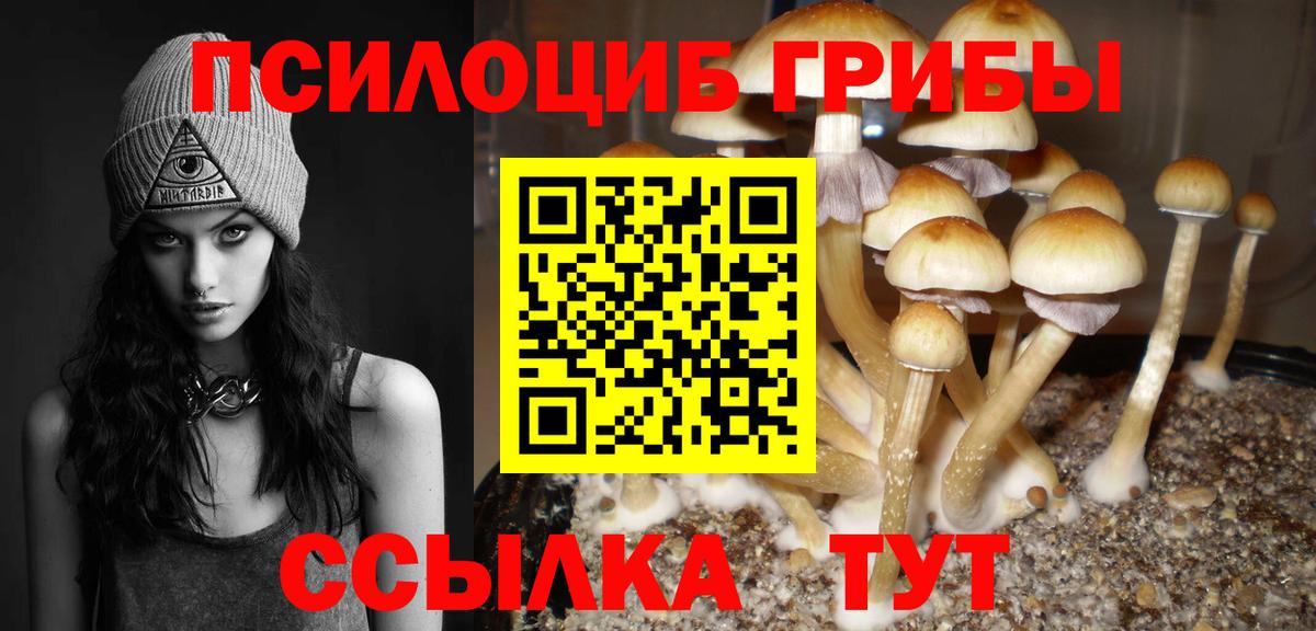 Галлюциногенные грибы Psilocybe  Вход с VPN  где купить   Горно-Алтайск 